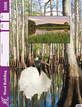 1st Grade Word Building Pace 1008 by ACE School of Tomorrow