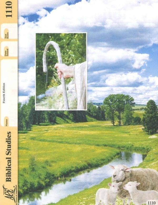 Old Testament Survey Pace 1110 (4th Edition) by Accelerated Christian Education ACE 2 of 12 Curriculum Express