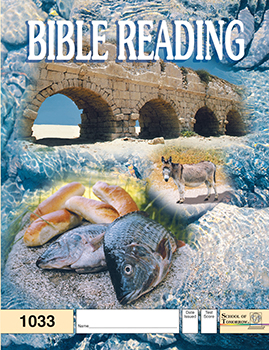 3rd Grade Bible Reading Pace 1033 by Accelerated Christian Education ACE Workbook Curriculum Express