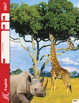 6th Grade English Pace 1067 by Accelerated Christian Education ACE