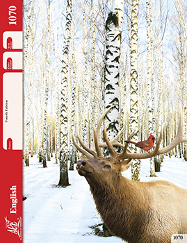 6th Grade English Pace 1070 by Accelerated Christian Education ACE