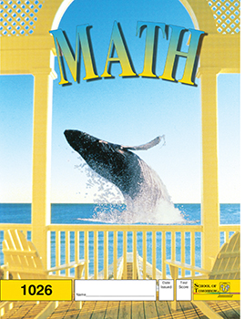 3rd Grade Math Pace 1026 by Accelerated Christian Education ACE 2 of 12 Curriculum Express